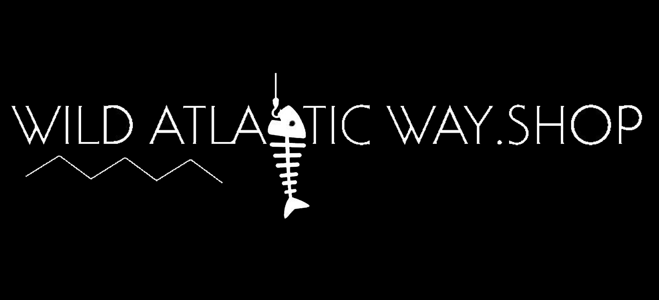 Wild-Atlantic-way
